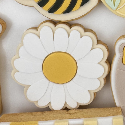Roundy Daisy - Cutter & Raised Stamp Set